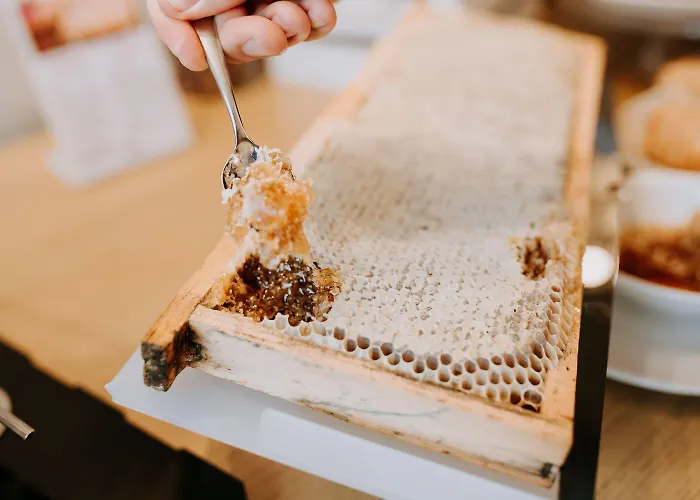 酒店 Patriarca 米拉诺